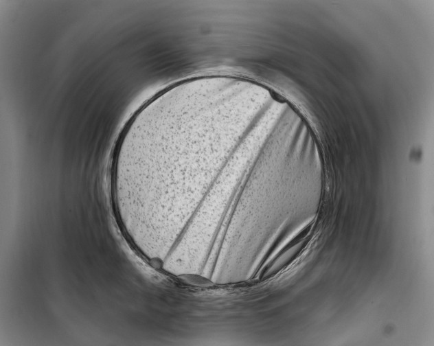 X0000098221054200805151313