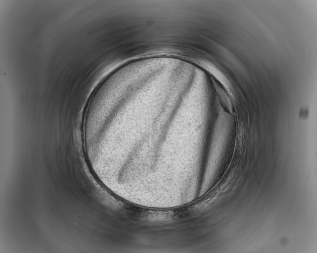 X0000098221055200805151313