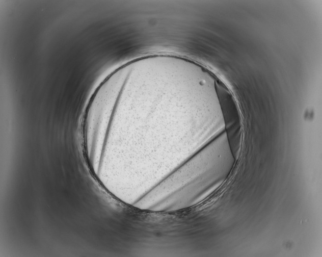 X0000098221056200805151313