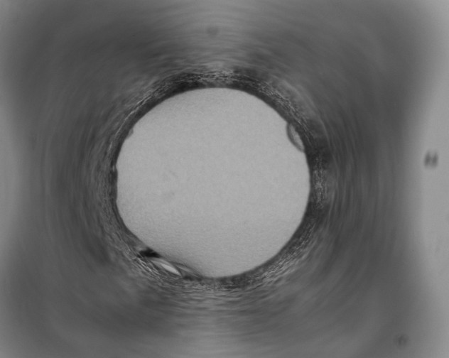 X0000098221057200805151312