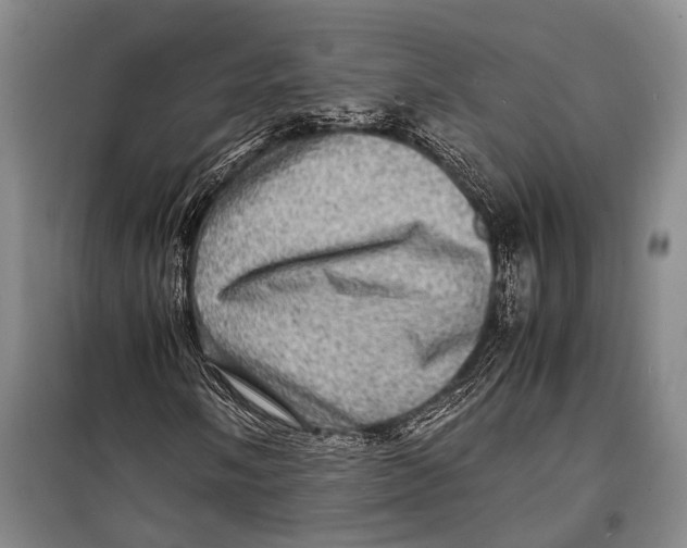 X0000098221058200805151312