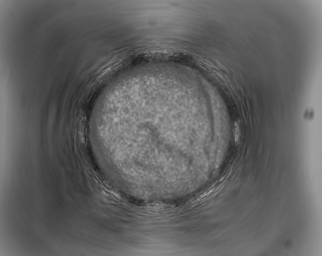 X0000098221059200805151312