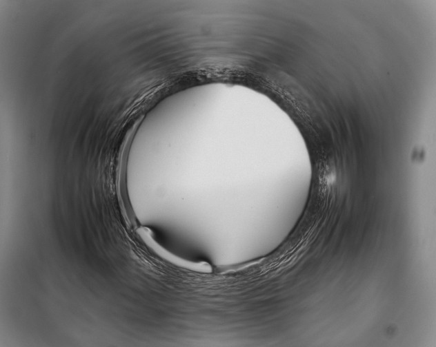 X0000098221060200805151312