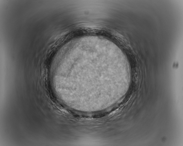 X0000098221061200805151312