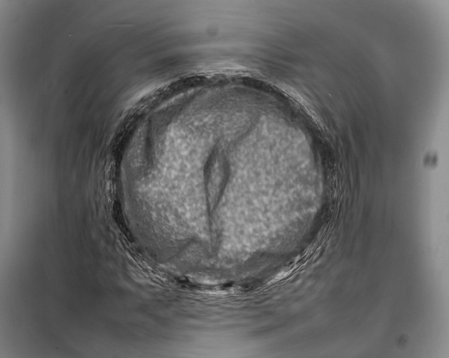 X0000098221063200805151312