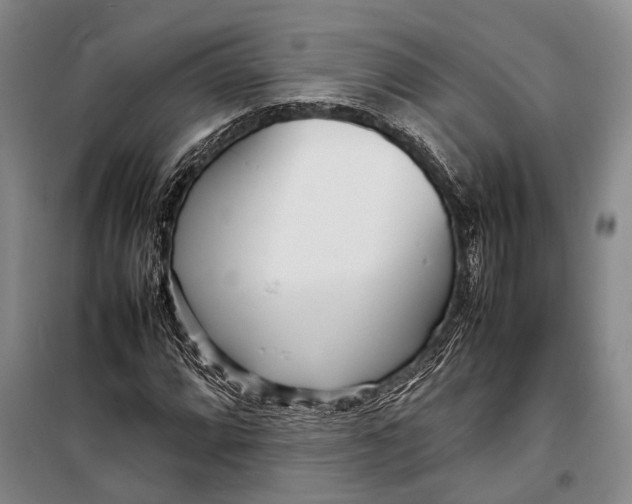 X0000098221064200805151312