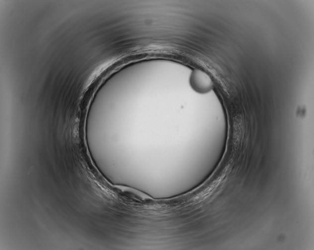 X0000098221066200805151312