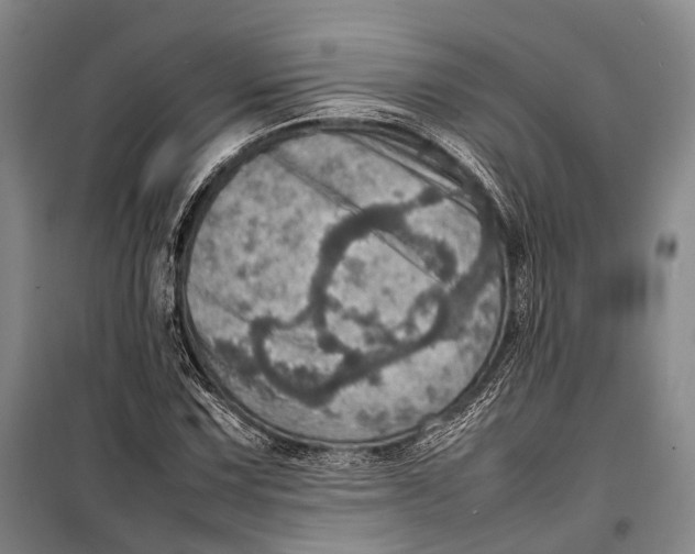 X0000098221067200805151312