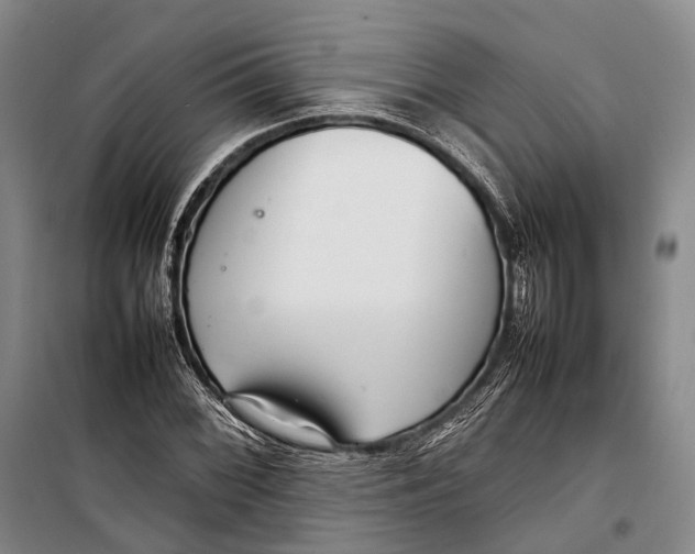 X0000098221068200805151312