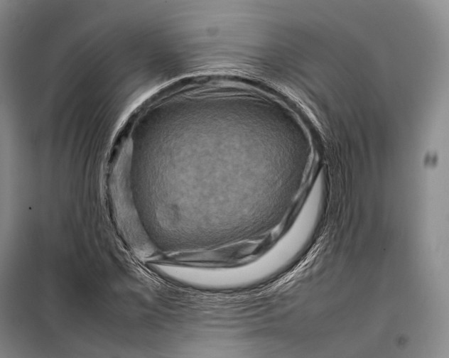 X0000098221069200805151312