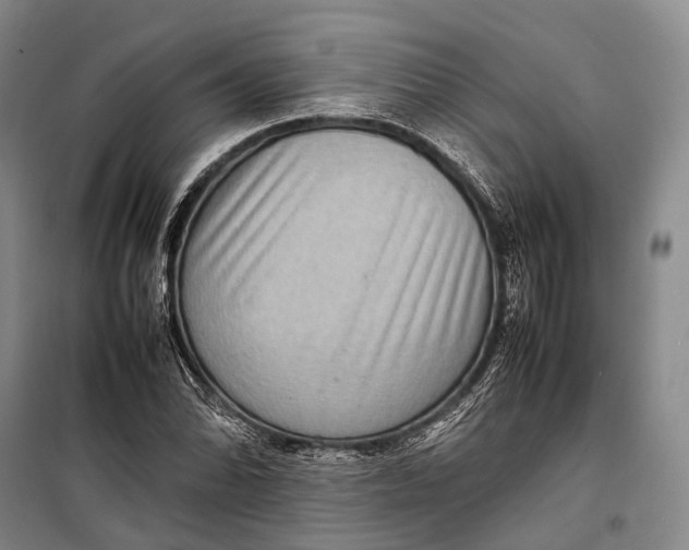 X0000098221070200805151312