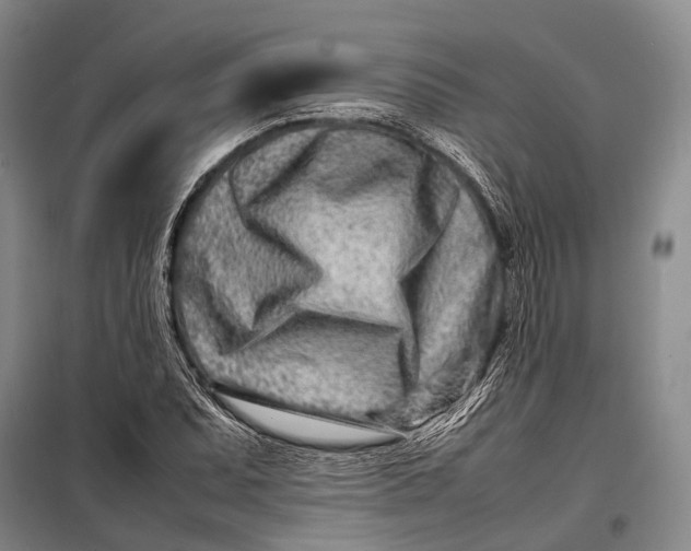 X0000098221071200805151311