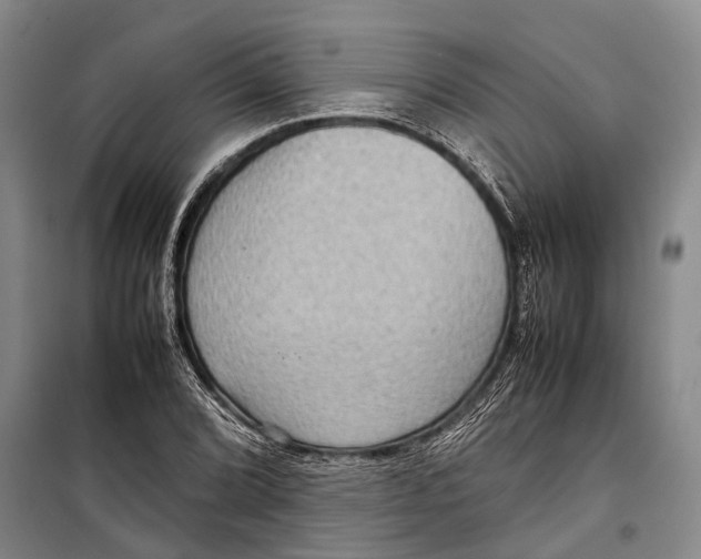 X0000098221072200805151311