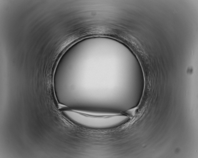 X0000098221073200805151311