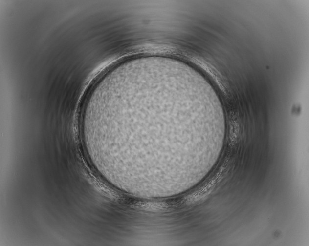 X0000098221074200805151311