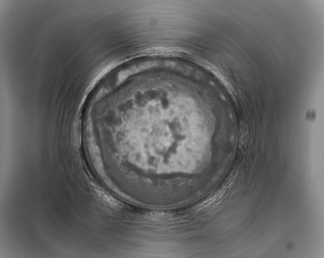 X0000098221075200805151311