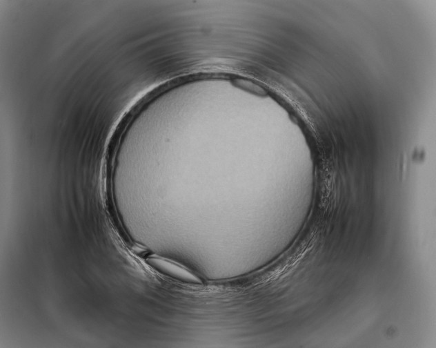 X0000098221076200805151311