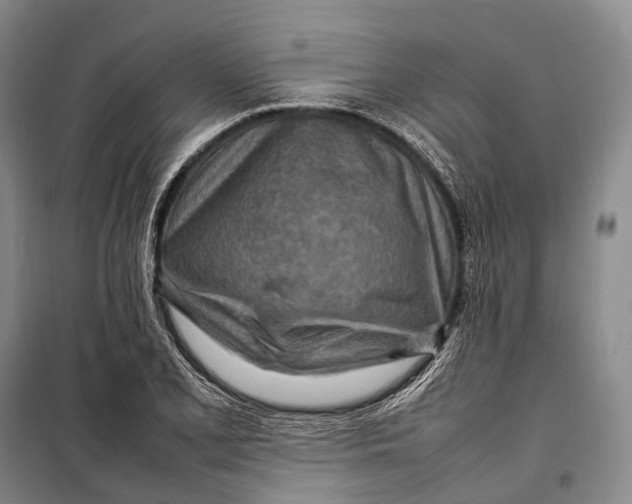 X0000098221077200805151311