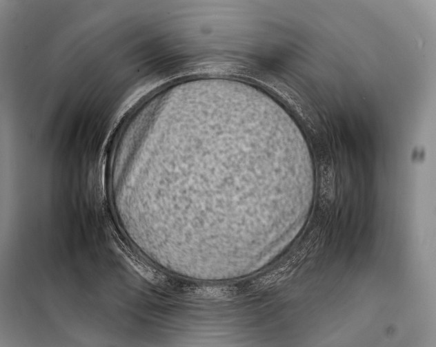 X0000098221078200805151311