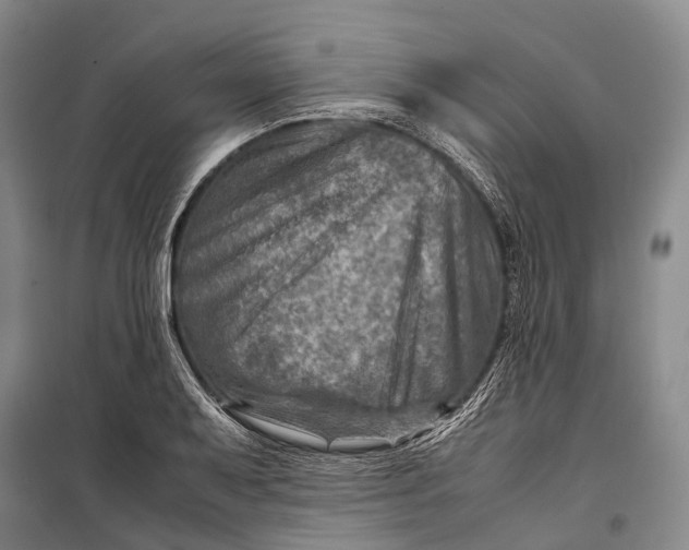 X0000098221079200805151311