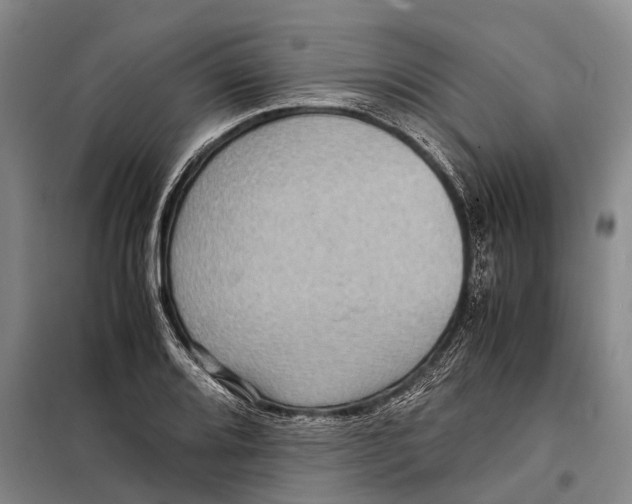 X0000098221080200805151311