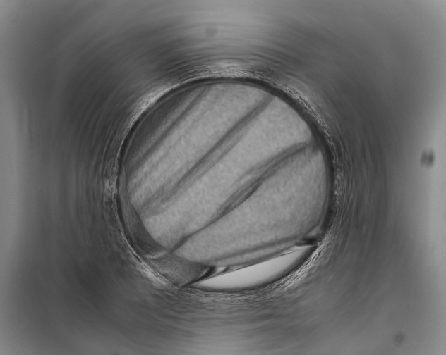 X0000098221081200805151311