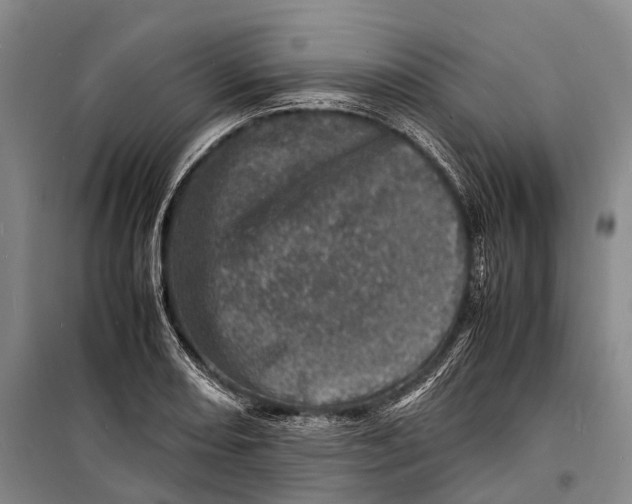 X0000098221082200805151311