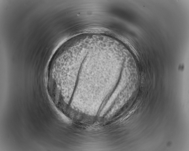 X0000098221083200805151311