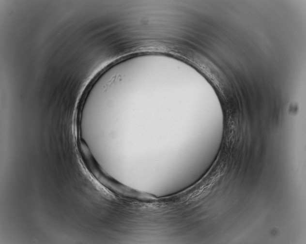 X0000098221084200805151311