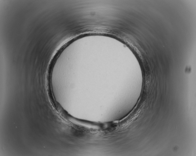 X0000098221085200805151311