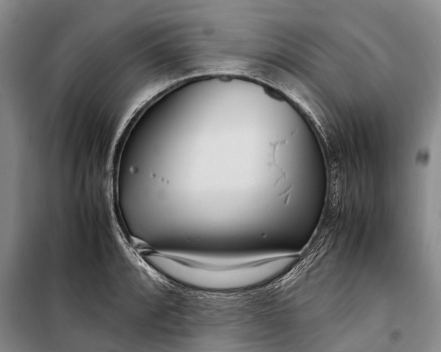 X0000098221088200805151311