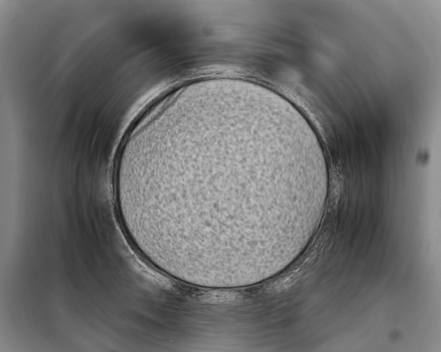 X0000098221090200805151311