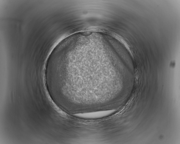 X0000098221091200805151311