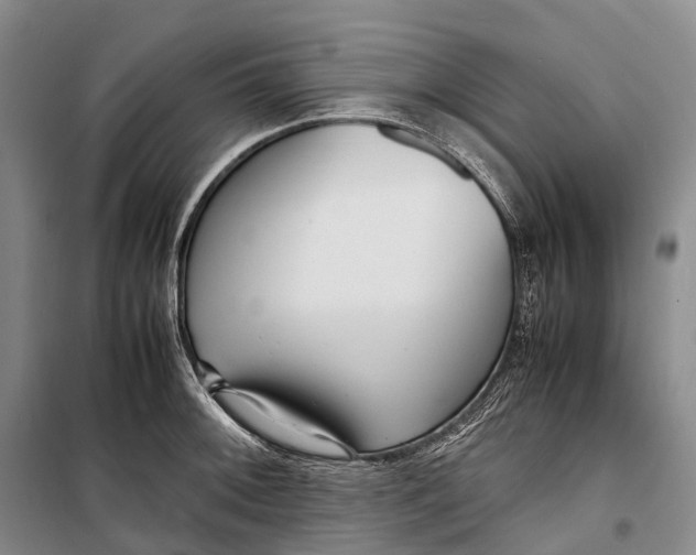 X0000098221092200805151311