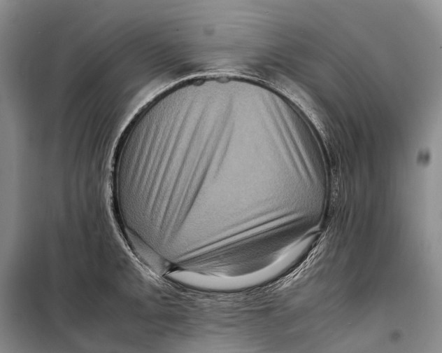 X0000098221093200805151311