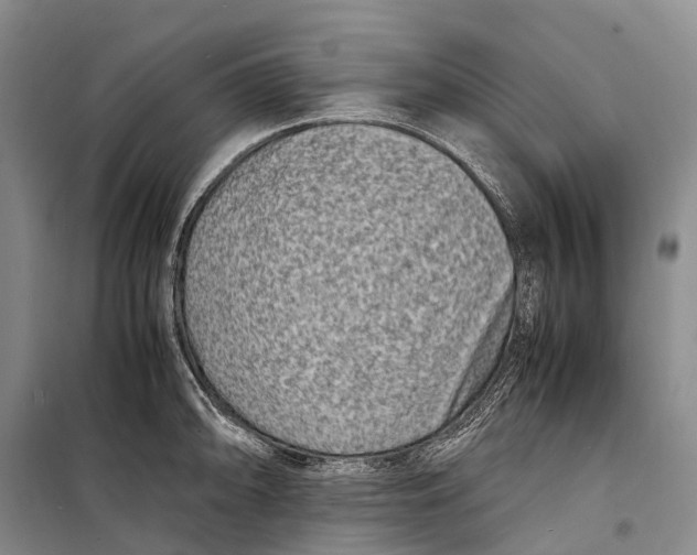 X0000098221094200805151311