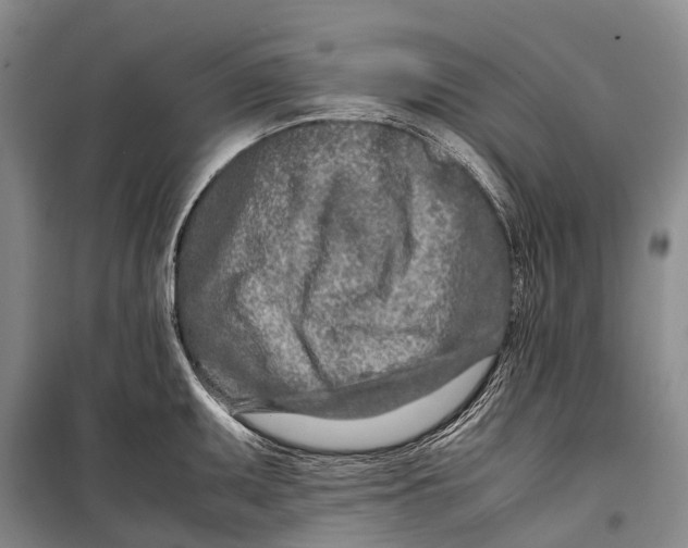 X0000098221095200805151311