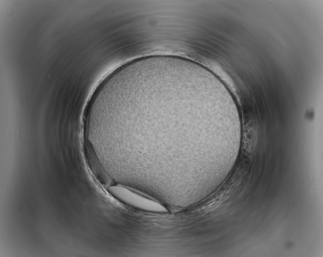 X0000098221096200805151311