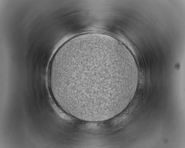 X0000098221098200805151311