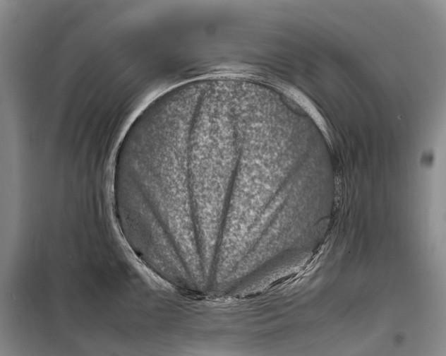 X0000098221099200805151311