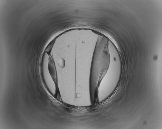 X0000098221101200805151311