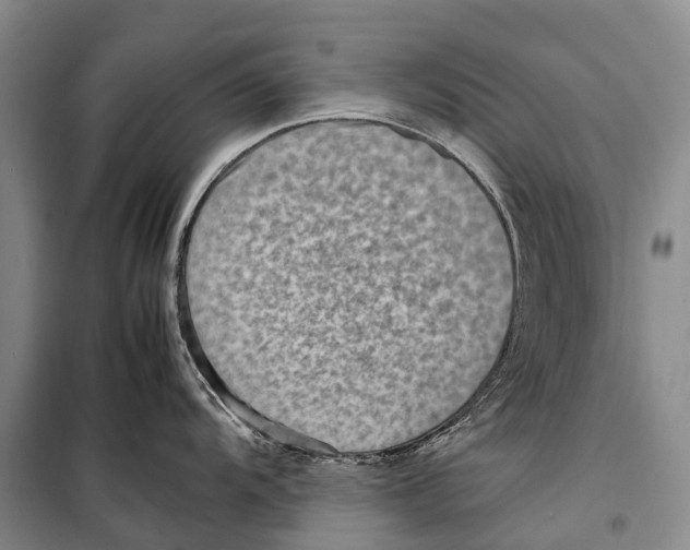 X0000098221104200805151311