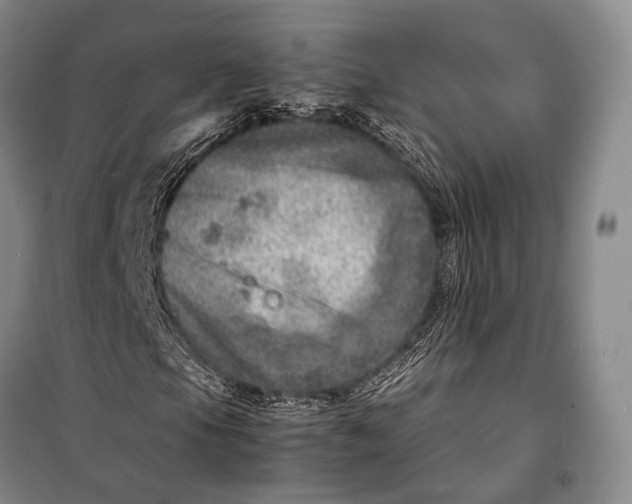 X0000098221105200805151310