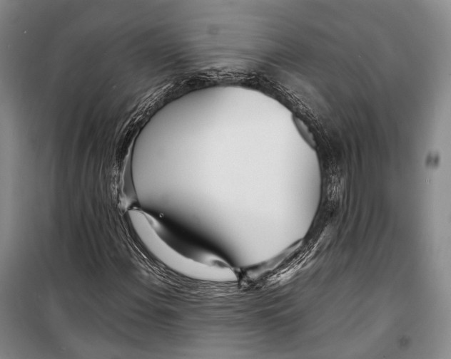 X0000098221108200805151310