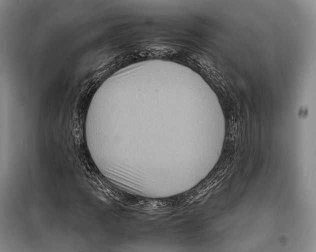 X0000098221109200805151310