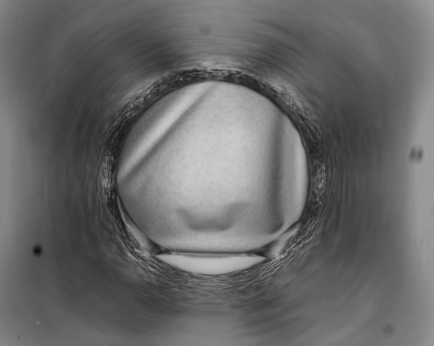 X0000098221110200805151310