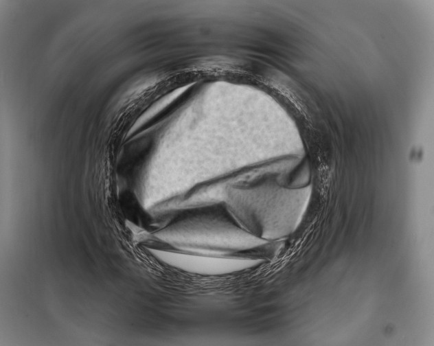 X0000098221111200805151310