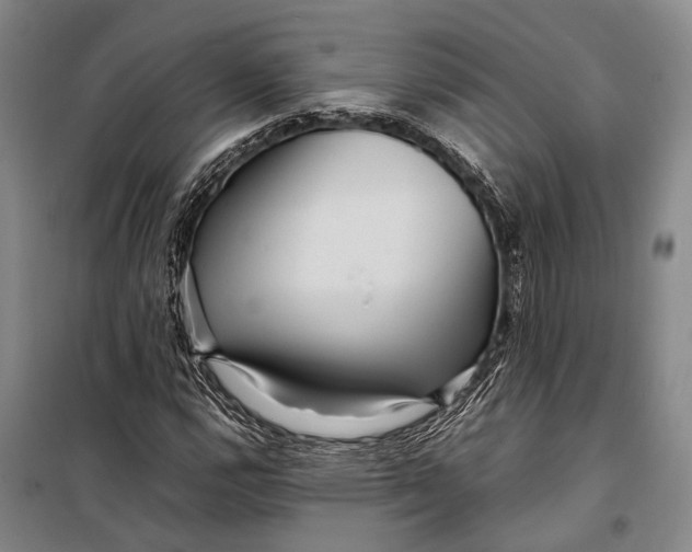 X0000098221112200805151310