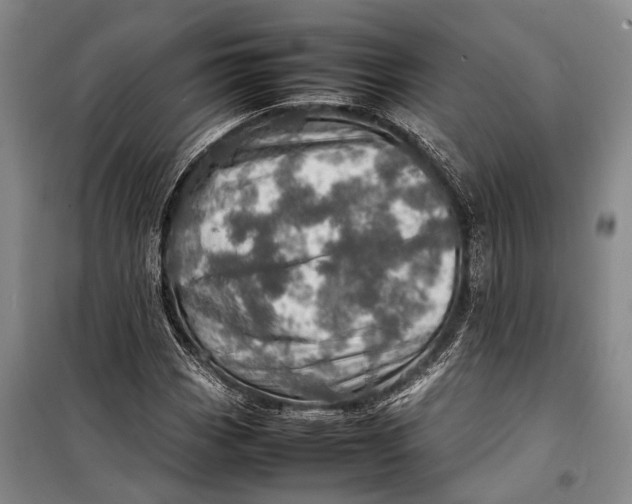 X0000098221113200805151310