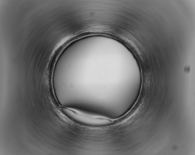 X0000098221114200805151310